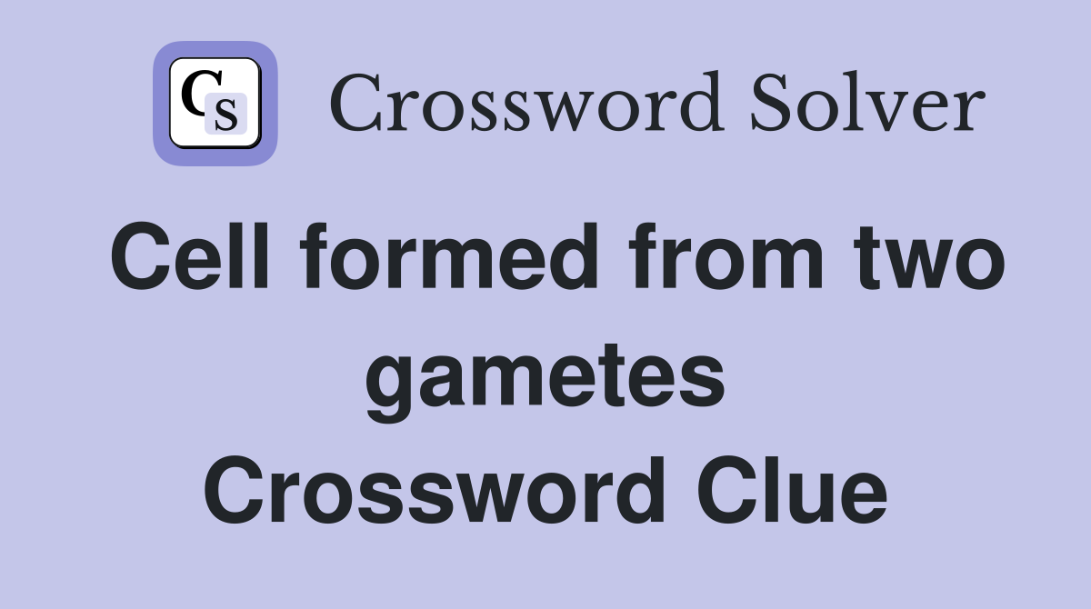 Cell formed from two gametes Crossword Clue