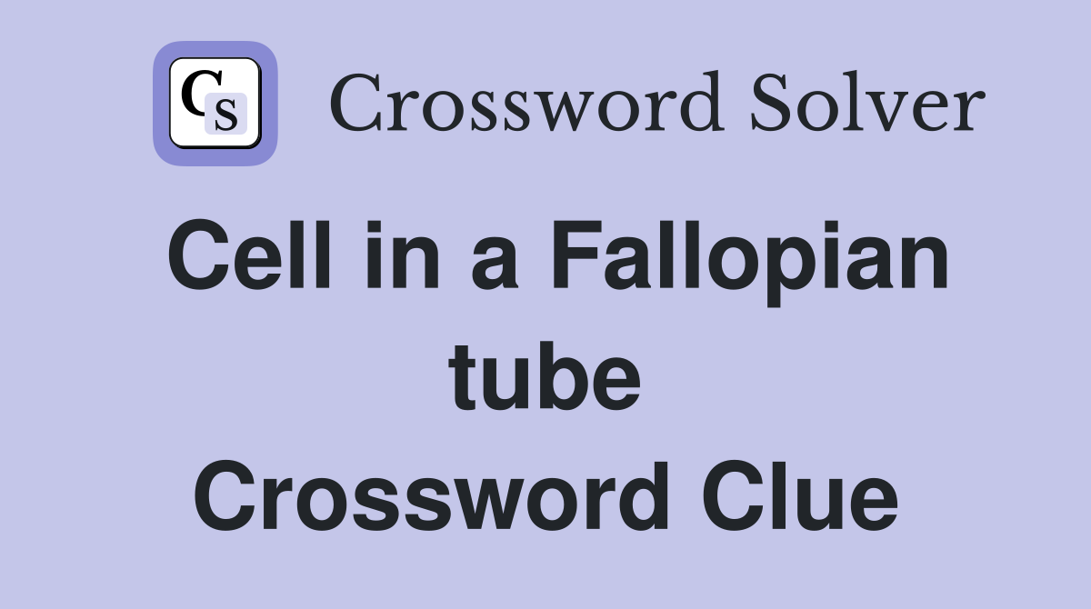 Cell in a Fallopian tube Crossword Clue