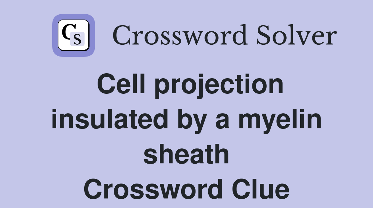 Cell projection insulated by a myelin sheath Crossword Clue