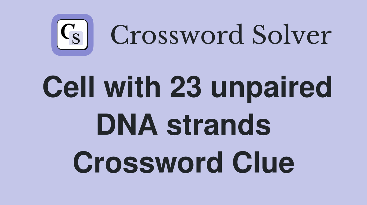 Cell with 23 unpaired DNA strands Crossword Clue