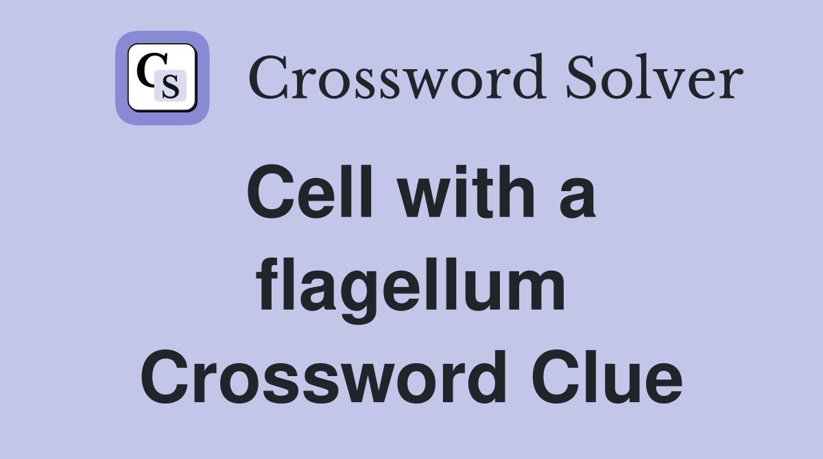 Cell with a flagellum Crossword Clue
