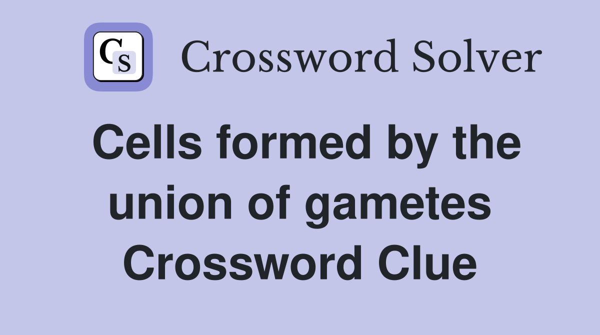 Cells formed by the union of gametes Crossword Clue