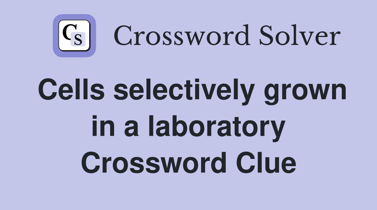 Cells selectively grown in a laboratory Crossword Clue