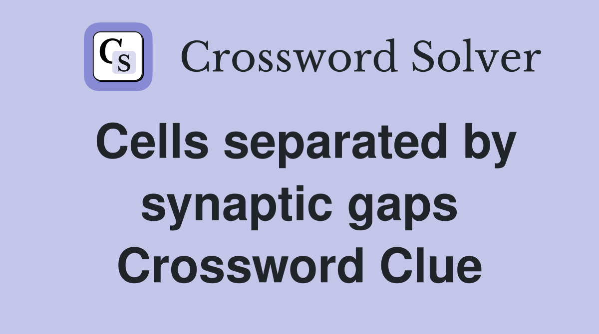 Cells separated by synaptic gaps Crossword Clue