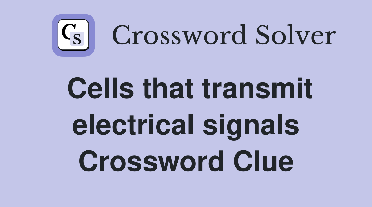 Cells that transmit electrical signals Crossword Clue