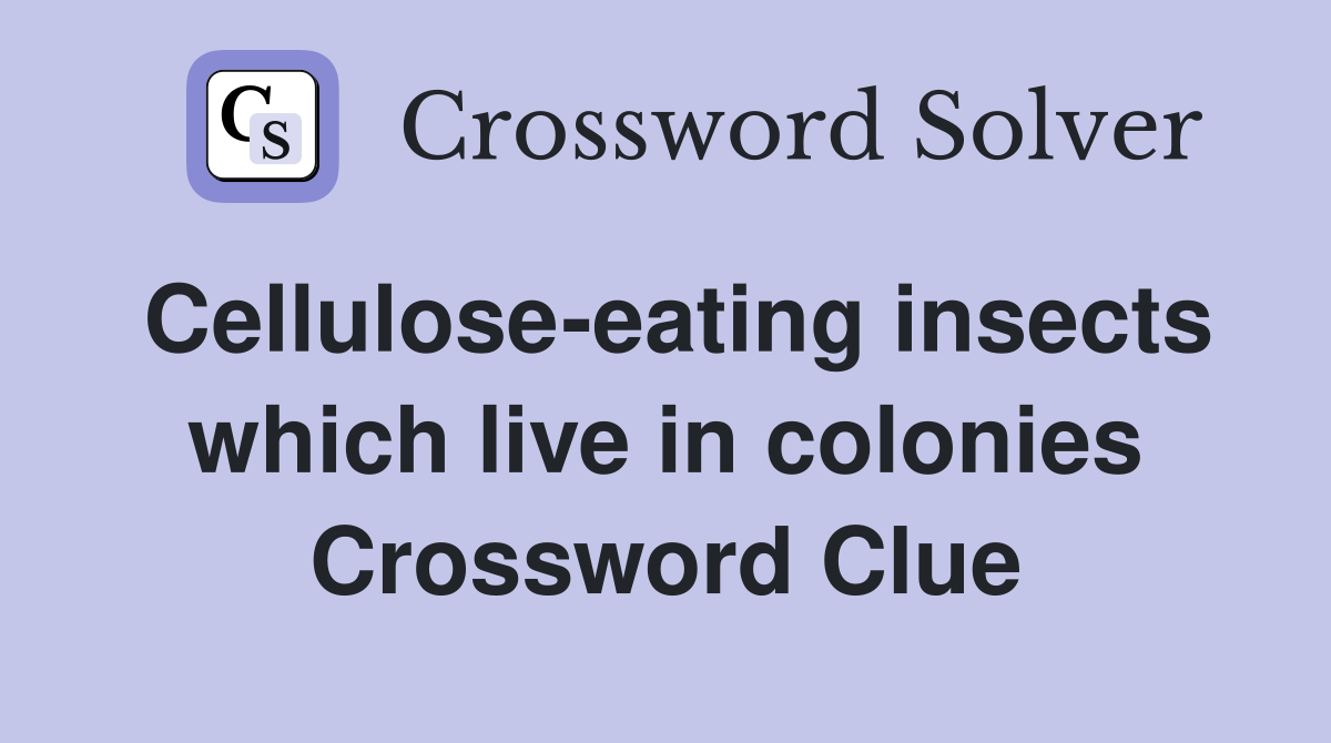 Cellulose-eating insects which live in colonies Crossword Clue