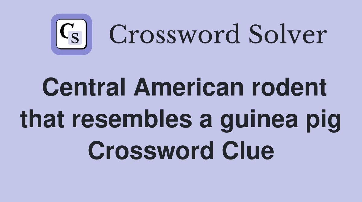 Central American rodent that resembles a guinea pig Crossword Clue