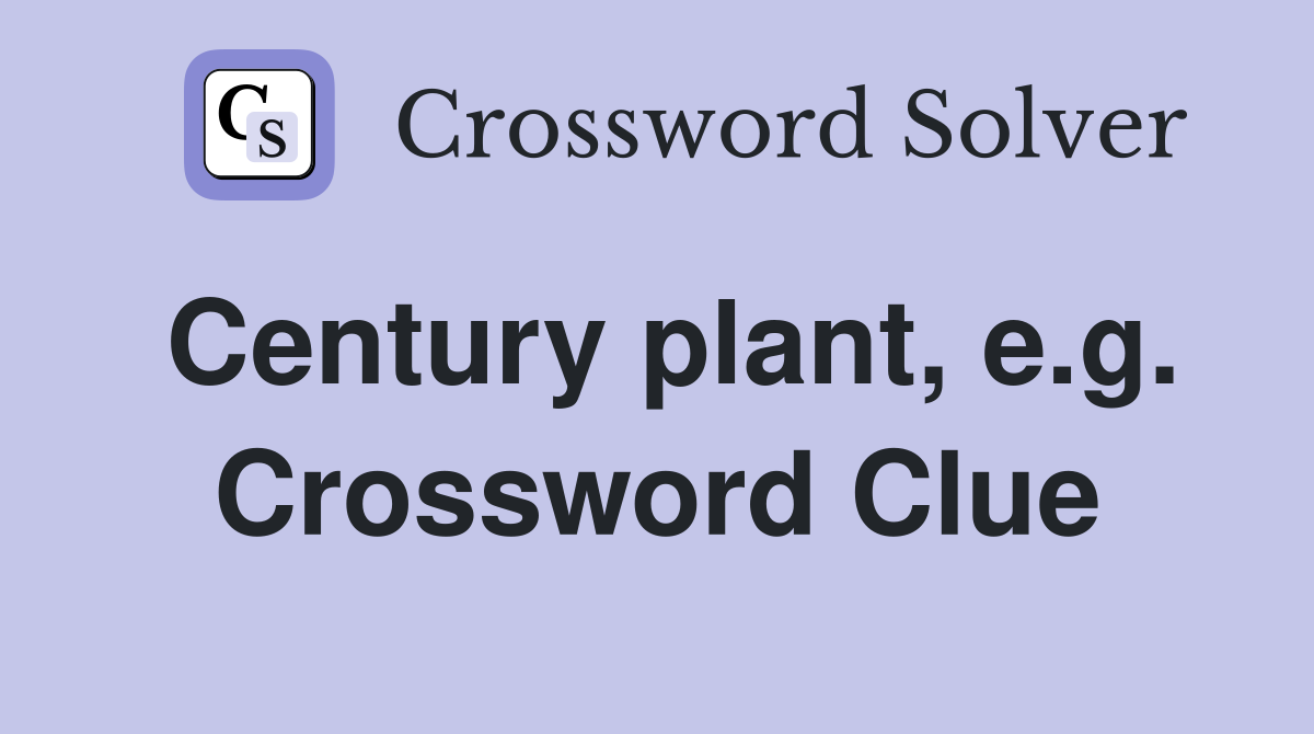 Century plant, e.g. Crossword Clue