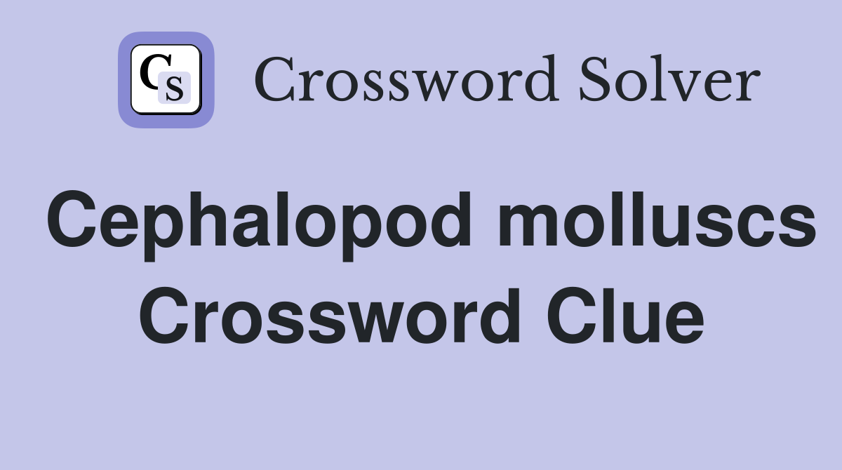 Cephalopod molluscs Crossword Clue
