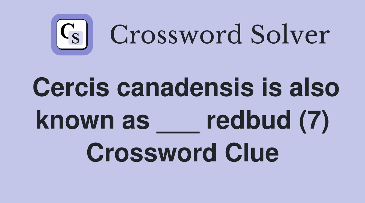 Cercis canadensis is also known as ___ redbud (7) Crossword Clue