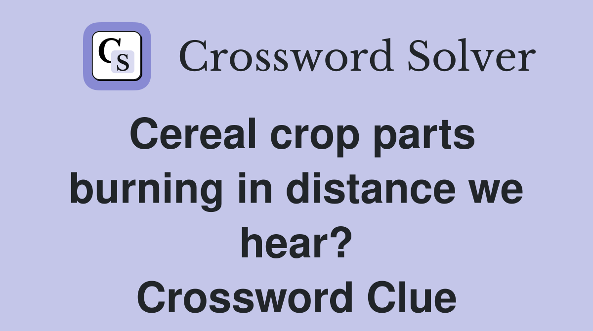 Cereal crop parts burning in distance we hear? Crossword Clue