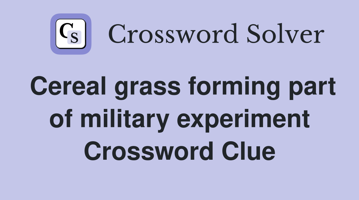 Cereal grass forming part of military experiment Crossword Clue