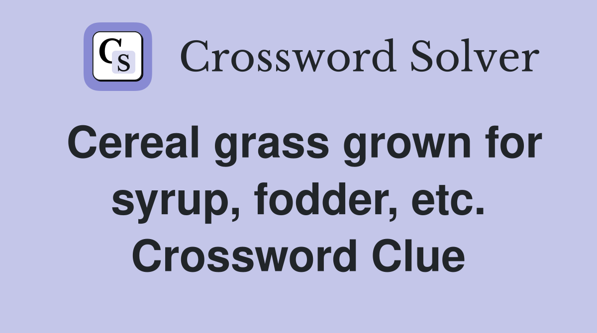 Cereal grass grown for syrup, fodder, etc. Crossword Clue