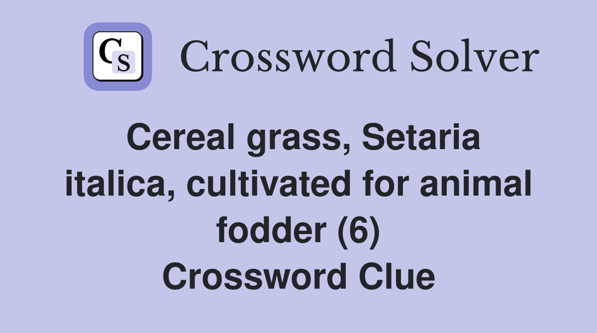 Cereal grass, Setaria italica, cultivated for animal fodder (6) Crossword Clue