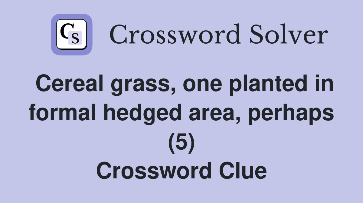 Cereal grass, one planted in formal hedged area, perhaps (5) Crossword Clue