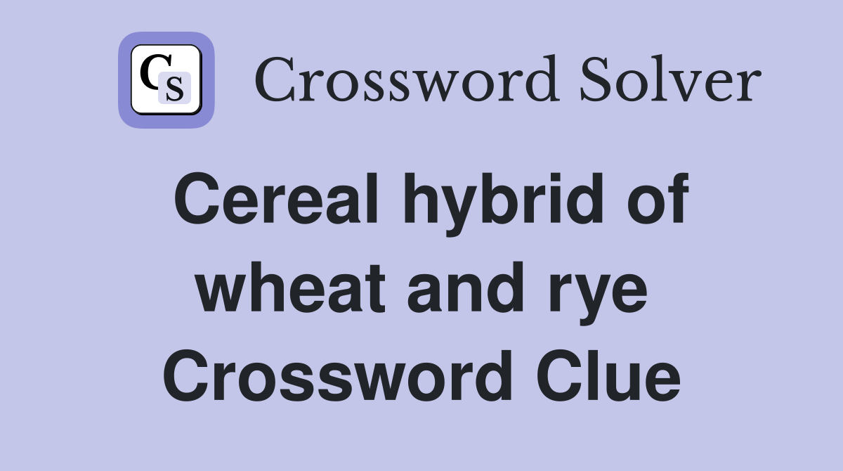 Cereal hybrid of wheat and rye Crossword Clue