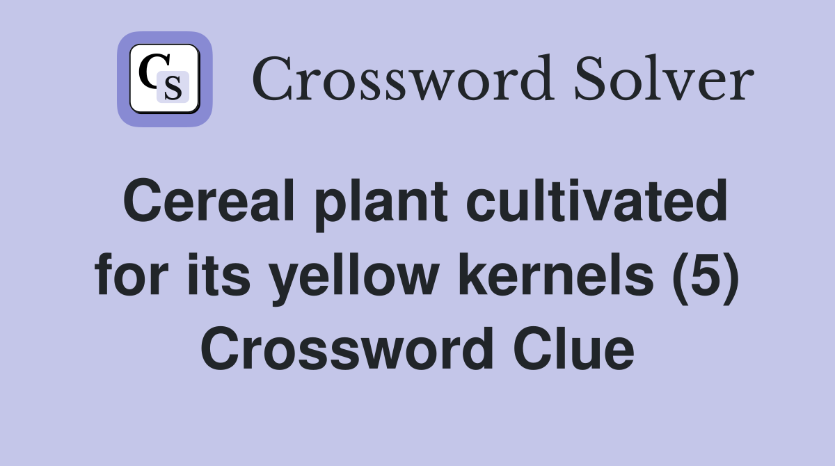 Cereal plant cultivated for its yellow kernels (5) Crossword Clue