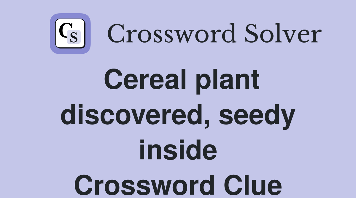 Cereal plant discovered, seedy inside Crossword Clue