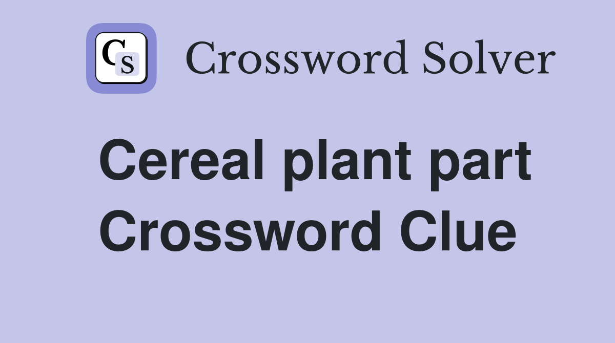 Cereal plant part Crossword Clue