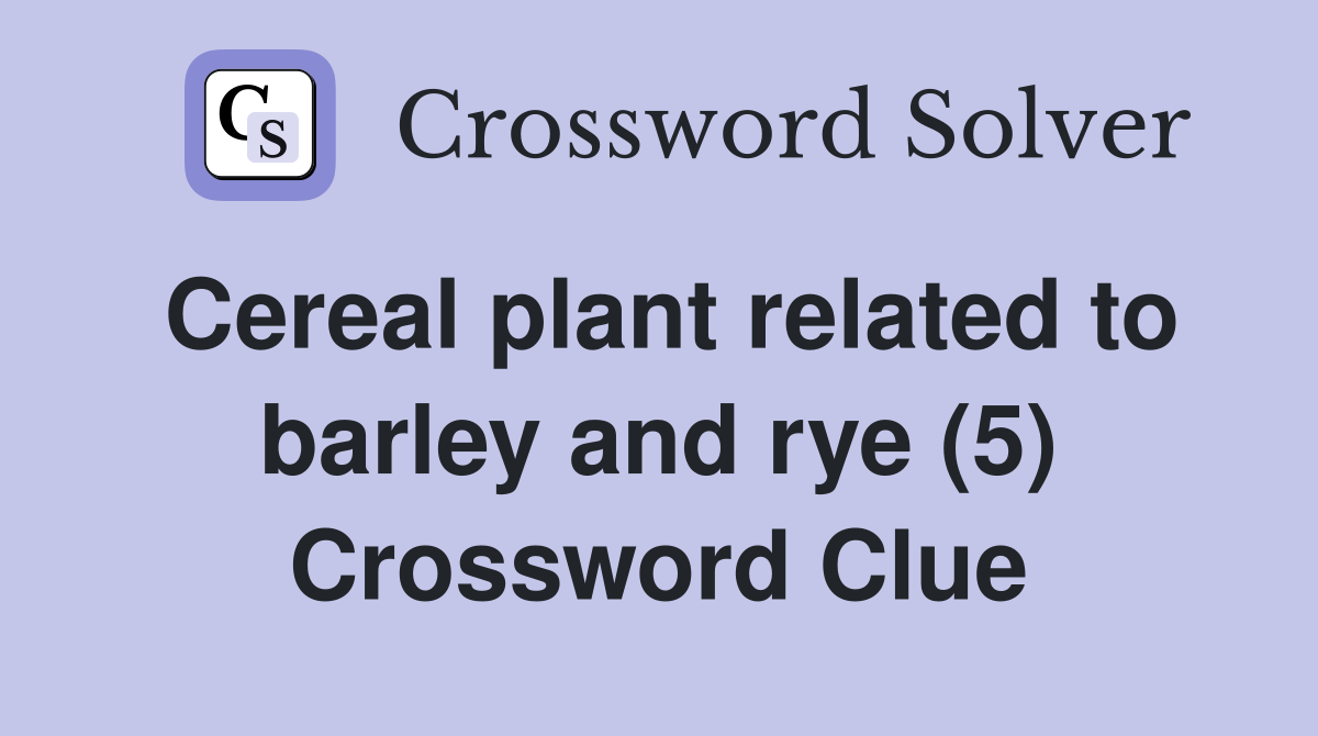 Cereal plant related to barley and rye (5) Crossword Clue