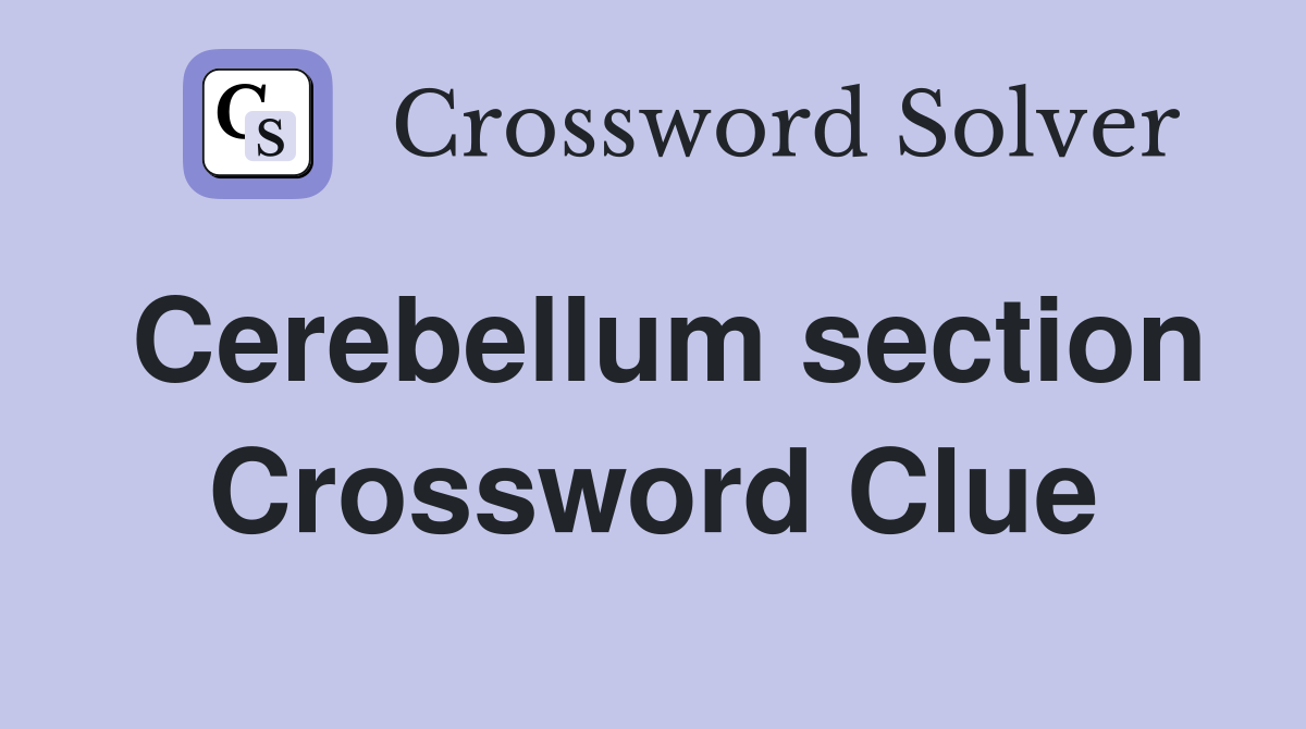 Cerebellum section Crossword Clue