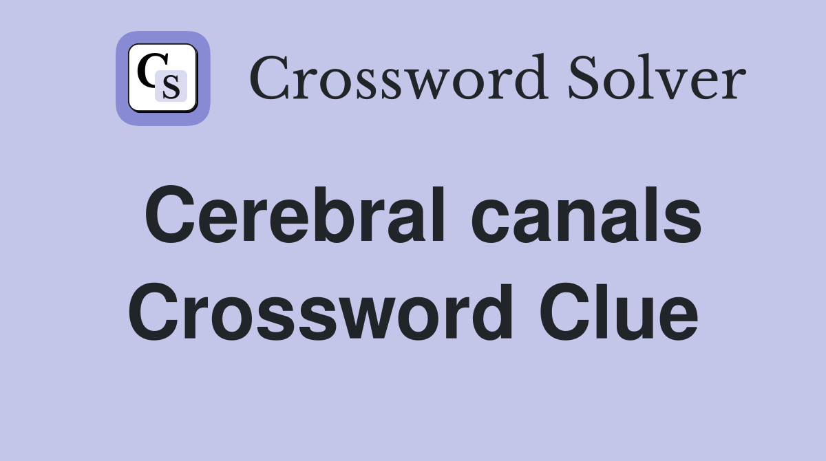 Cerebral canals Crossword Clue