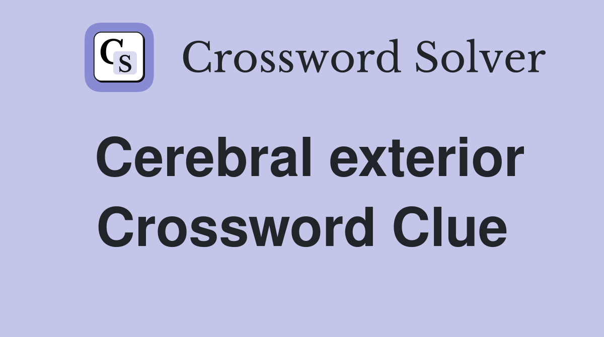Cerebral exterior Crossword Clue
