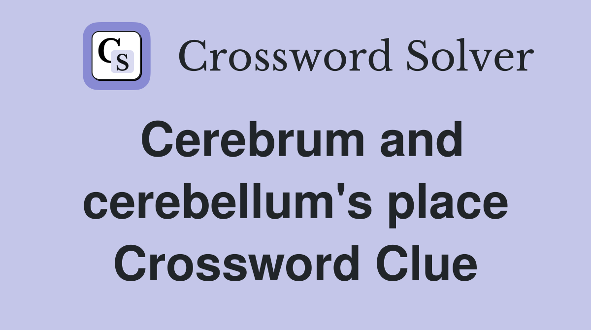 Cerebrum and cerebellum's place Crossword Clue