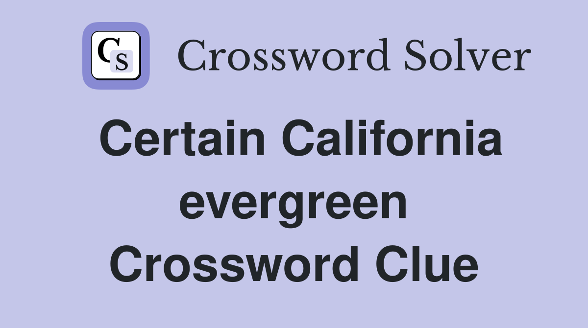 Certain California evergreen Crossword Clue