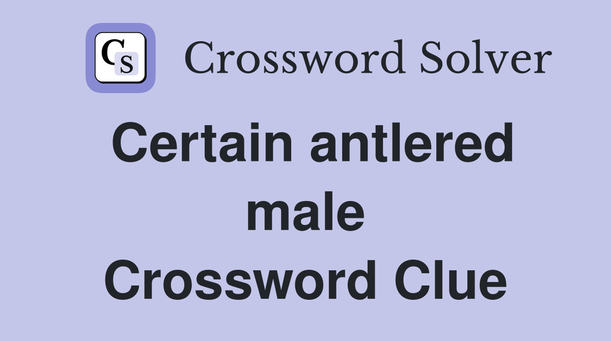 Certain antlered male Crossword Clue