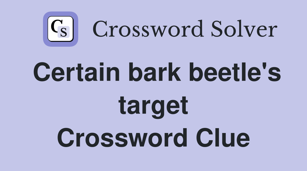 Certain bark beetle's target Crossword Clue