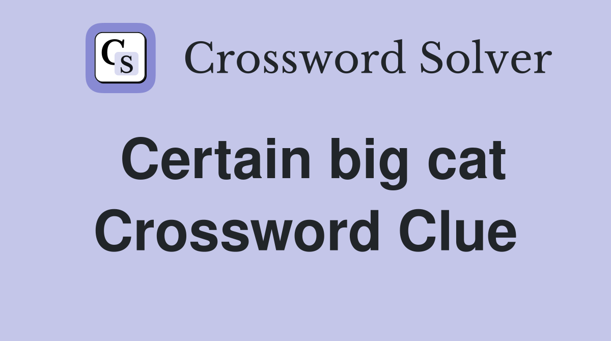 Certain big cat Crossword Clue