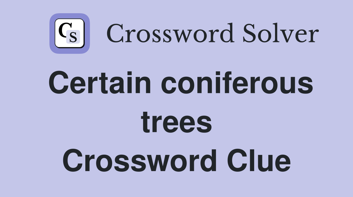 Certain coniferous trees Crossword Clue