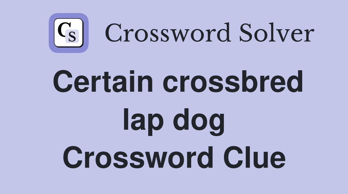 Certain crossbred lap dog Crossword Clue