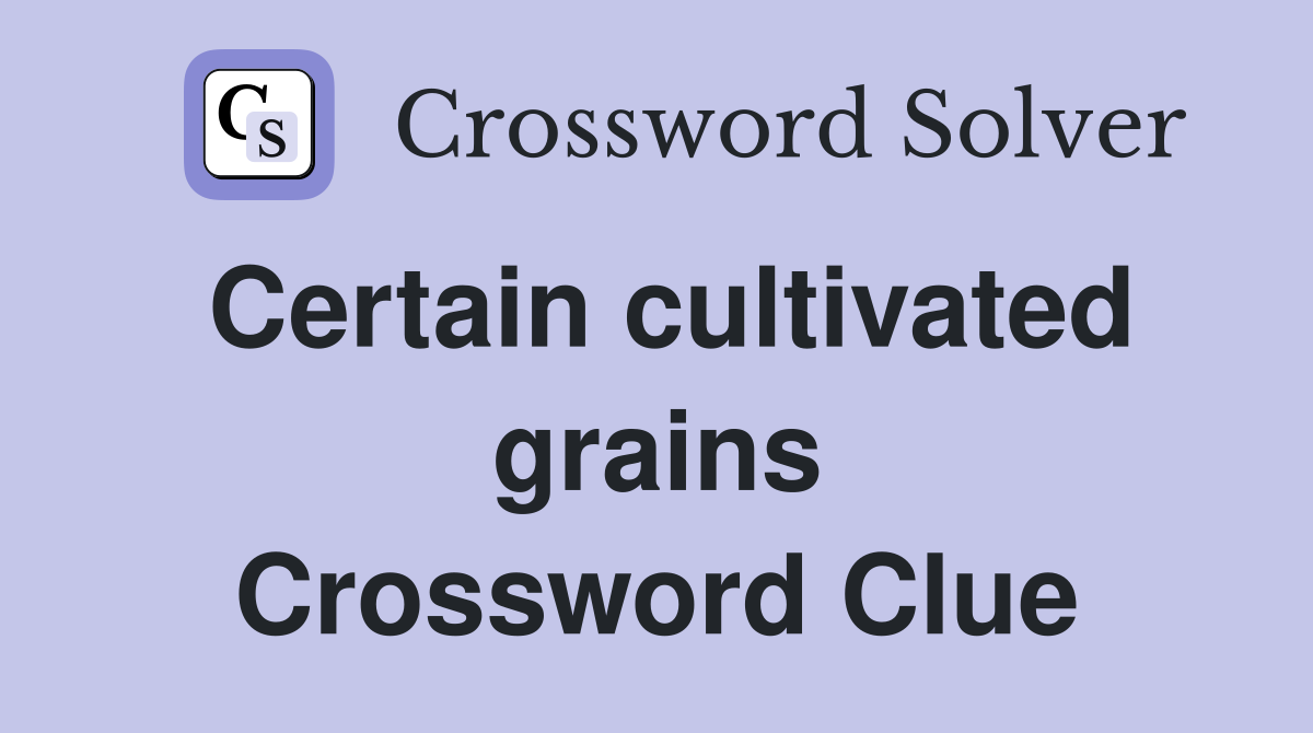 Certain cultivated grains Crossword Clue