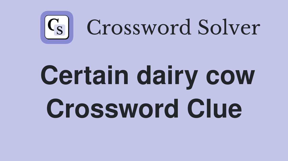 Certain dairy cow Crossword Clue