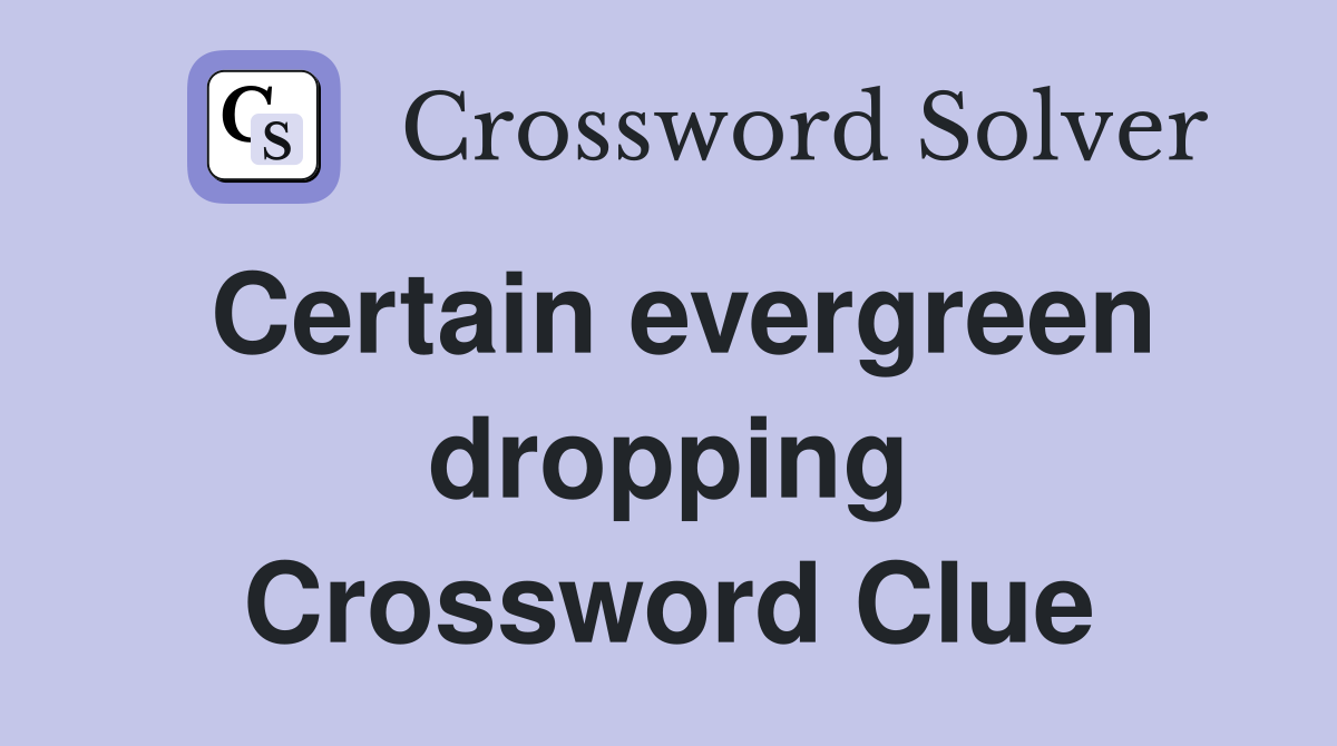 Certain evergreen dropping Crossword Clue