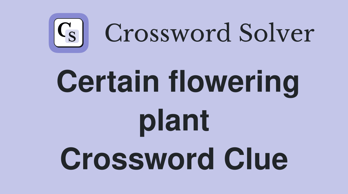 Certain flowering plant Crossword Clue