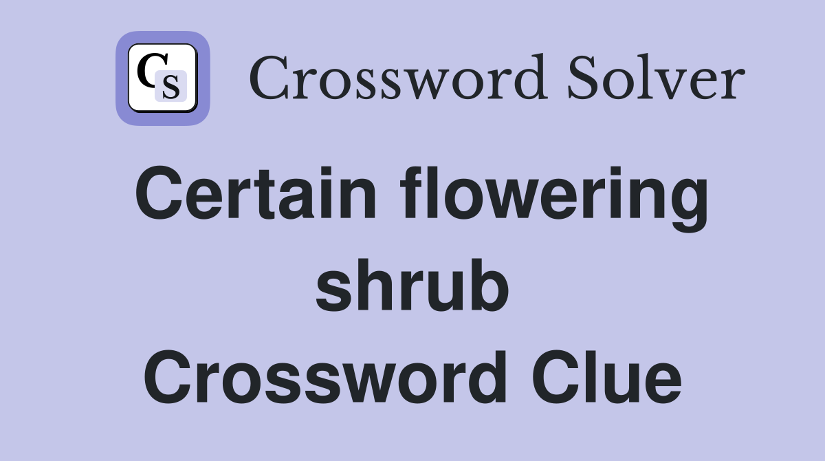Certain flowering shrub Crossword Clue