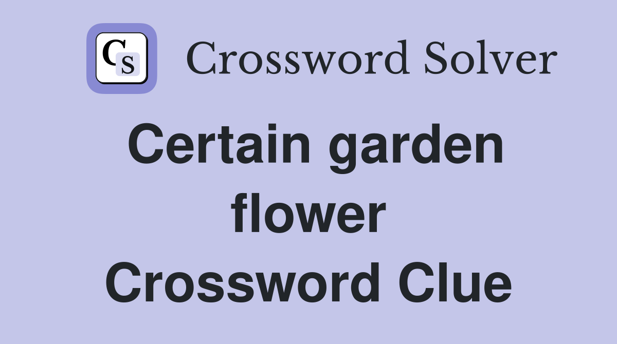 Certain garden flower Crossword Clue