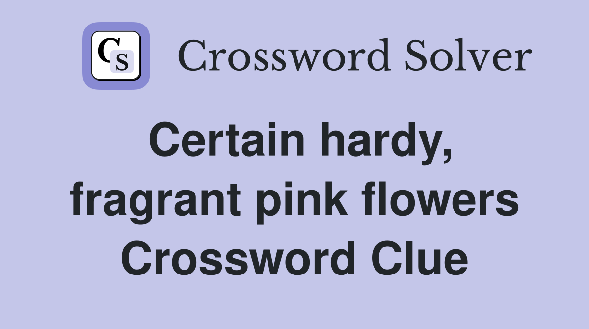 Certain hardy, fragrant pink flowers Crossword Clue