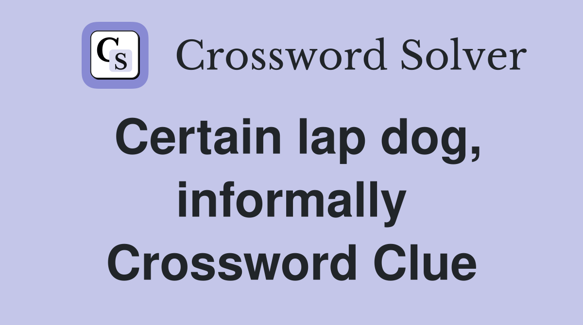 Certain lap dog, informally Crossword Clue