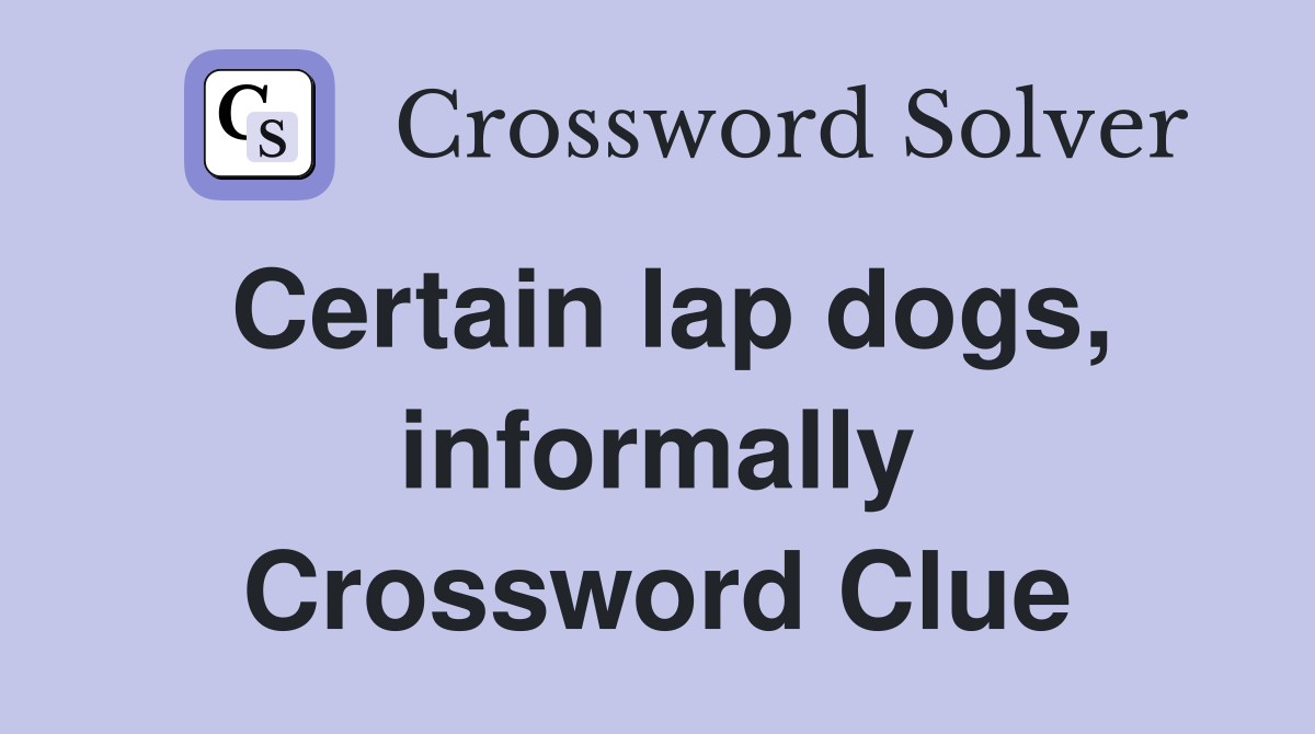Certain lap dogs, informally Crossword Clue
