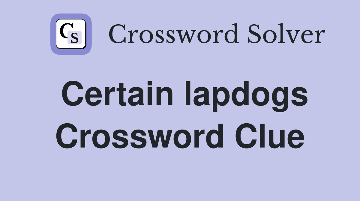 Certain lapdogs Crossword Clue
