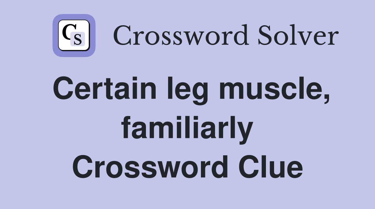 Certain leg muscle, familiarly Crossword Clue