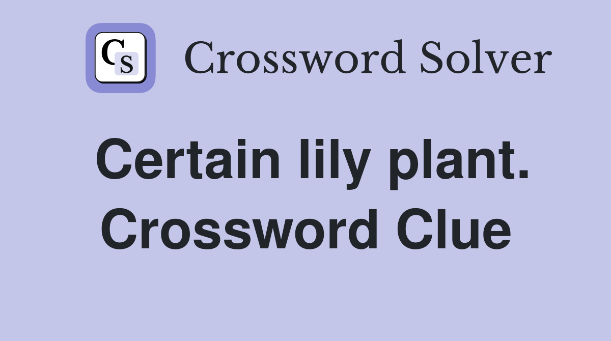 Certain lily plant. Crossword Clue