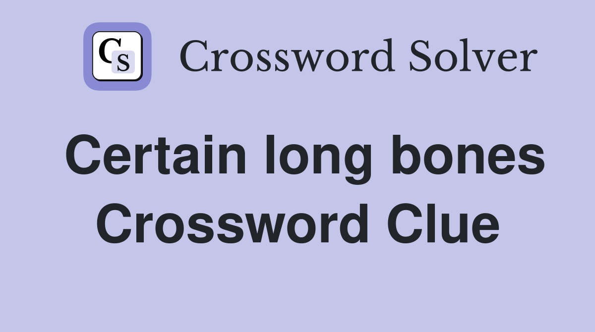 Certain long bones Crossword Clue