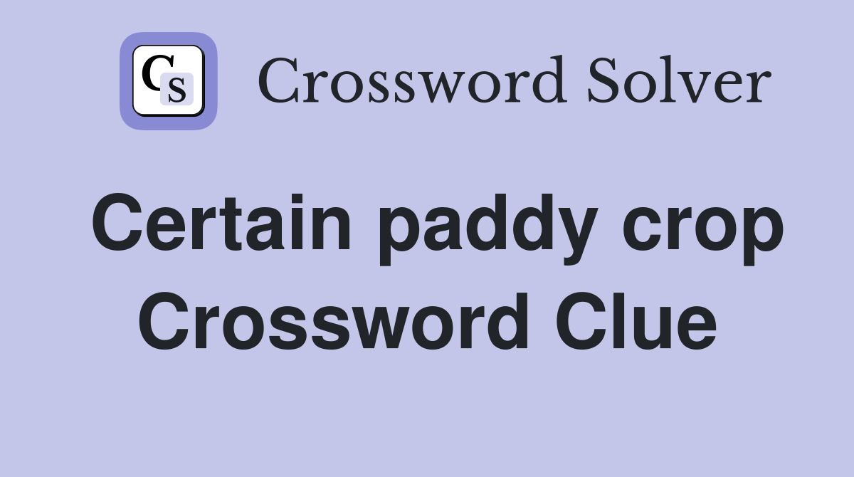 Certain paddy crop Crossword Clue