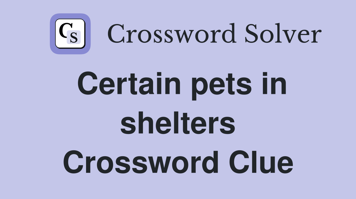Certain pets in shelters Crossword Clue