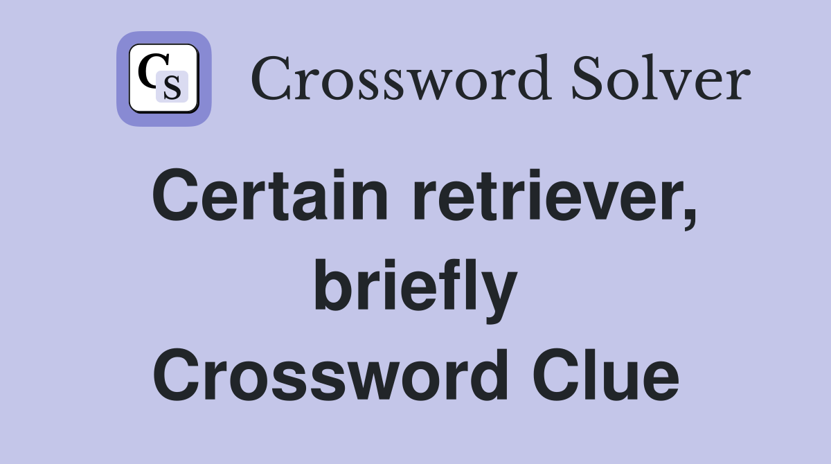 Certain retriever, briefly Crossword Clue
